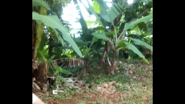 Verification Video - verification-video - Video 3045682