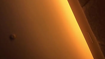 Mi Vecina En 4 Patas