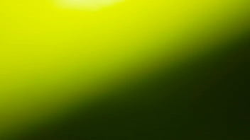 Amateur, Sexe - Amateur - 2025 - Wild - Show - Video 2802097