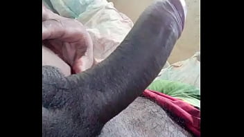 Doido Pra Alguém Tirar Um Leitinho