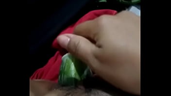 Cachorra Enfiou Um Pepino