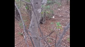 Gay, Punheta, Gozando, Mato - Gay - 2025 - Passionate - Scene - Video 2791847