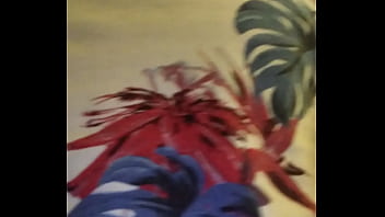 Vídeo De Verificação - verification-video - Video 3102151