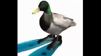 Morro Meco Solo En Su Casa