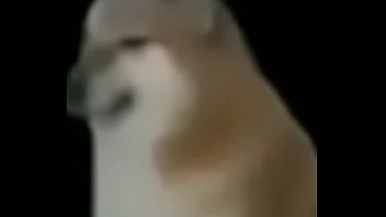 Perro, Hermanastra, Perifarflexin, Sebalinn69, Me-garche-a-tu-vieja, Avestruz - Unknown - 2025 - Sexy - Show - Video 3004079