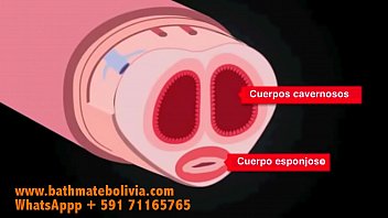 Como Funciona Bathmate ?