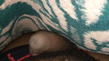 Skomora Mfana Wa Pheli