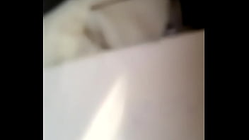 Verification Video - verification-video - Video 3079955