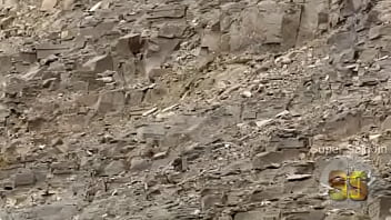 Yuri, Neko, Yuri-neko - Unknown - 2025 - Sexy - Show - Video 3006163