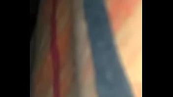 Trans Activa Habish Nicoll Ii