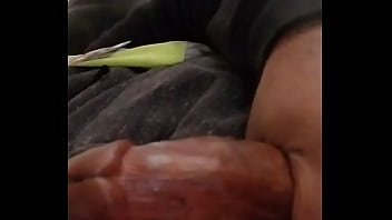 Stroking Dick On My Break