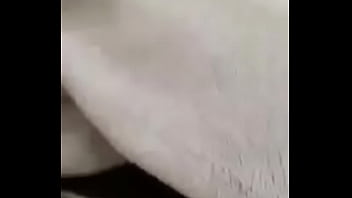 Erick Omar Campos Las Querendas Guerrero