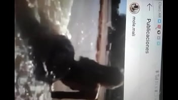 Hermosa Perra De Instagram