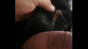 Las Bragas De Mi Mujer