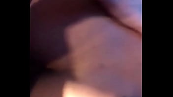 Irish X Brazilian Bttm Bb S