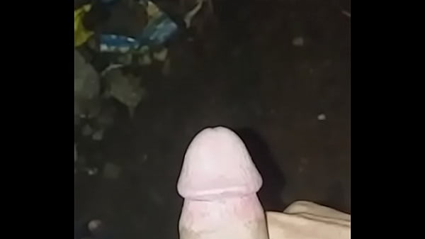 Pau Do Menino árabe