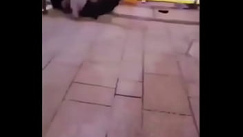 Saint Lazare Two Gays Fighting,kissing And Fucking Whit A Big Dick,he Cum And Sucer