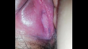 Panocha Alguien Quiere