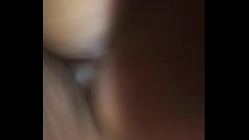 Dominicana Perrisima