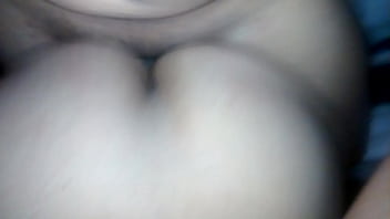 De Perrito Por El Ano