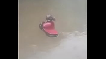 Minnie Sendo Fodida Pela Chuva Ficou Toda Molhadinha. #mickeycorno