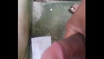 Verificación - paja, leche - Video 2722265