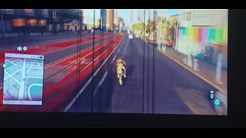 Mandando No Grau No Assista Cachorros