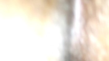 Late Night Fun _2:30am_Pt.2