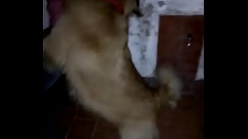 Sex Amateur Chicho With Abogado