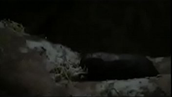 Masturbando Na Maquina