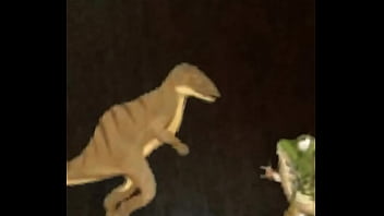 Anal, Kassino - Anal - 2025 - Amazing - Show - Video 2952229