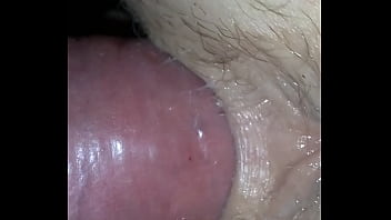 Back In The Donkey Again