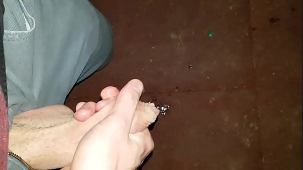 Nachts Auf Dem Spielplatz