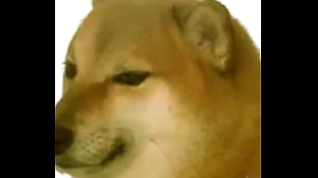 Shemale, Emo-gay, Gayemo - Shemale - 2025 - Passionate - Session - Video 2712964