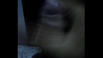 2 Paja Mucha Leche Tamborileño Que Llama A Ines