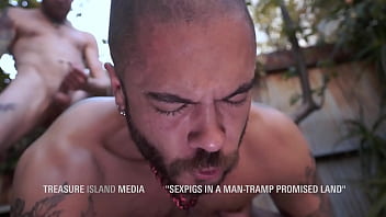 Three Bareback Pigs On The Patio