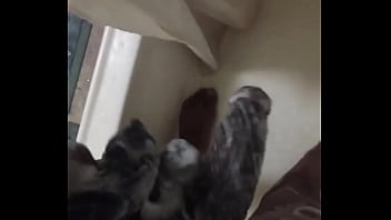 Horny, Bbc, Soloboy - Unknown - 2025 - Incredible - Session - Video 2984582