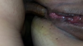 Porno, Tranny - Shemale - 2025 - Wild - Performance - Video 2974795