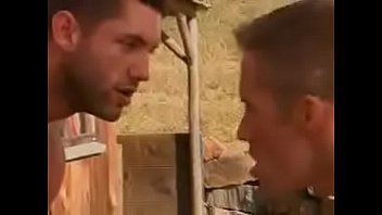 Mavericks The Cowboys Gays