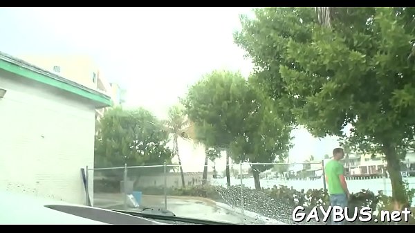 Satisfying Oral-service With A Homosexual - anal, blowjob, bus, gay - Video 2641895
