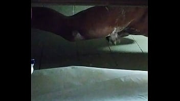 Gay, Bailey, Mitchell - Gay - 2025 - Incredible - Scene - Video 2916702