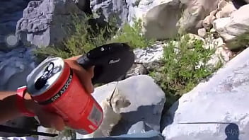 Doggystyle, Robot, Perro, Volando - Unknown - 2025 - Passionate - Show - Video 2914742