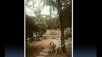 Compilation Sexy Lol