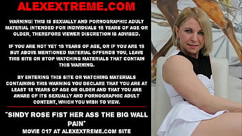 Sindy Rose Fist Her Ass The Big Wall Paint
