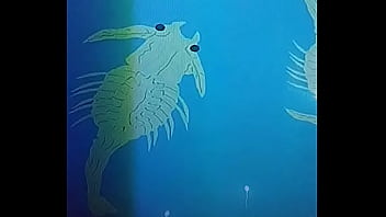 456789, 123442 - Unknown - 2025 - Wild - Experience - Video 2885897