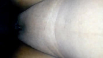 Negro, Piludo - Unknown - 2025 - Wild - Experience - Video 2902047