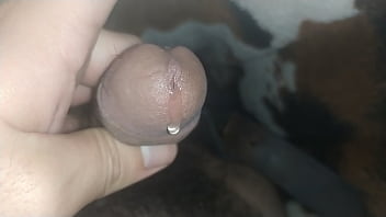 Shemale, Orgasm, Bbw - Shemale - 2025 - Intense - Scene - Video 2896041