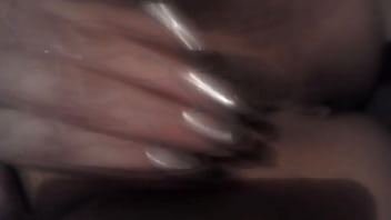 Zorrita De Chihuahua