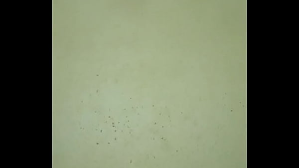 فيديو التحقق - Verification-video - ID2648800