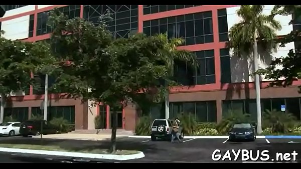 Horny Anal Fucking - anal, blowjob, bus, gay - Video 2902040